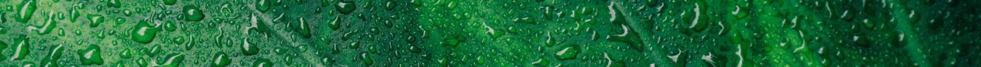 Geotechnical Engineering Services for Illinois