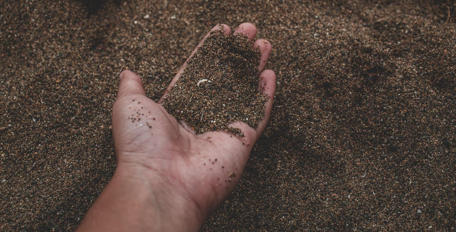 Person holding soil in their hand.