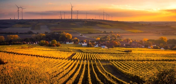 Phase 1 site assessment - site survey